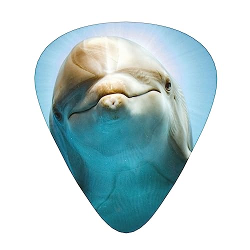 킢htBM^[sbN12sbNt@bVp[\iCYx[XsbNϋv̂GLM^[vNgyANZT[