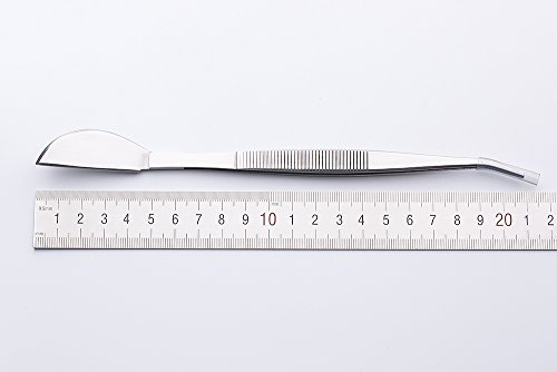 Bonsai Tools Bonsai Tweezers Stainless Steel rake Robust Very Firm and Durable Garden Tools Made by Tian Bonsai