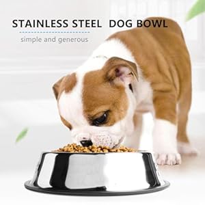 Stainless steel dog bowls with anti skid rubber base food and water non slip anti skid stackable feeder bowl and water bowl for small medium and large dogs basic style 10oz2   cucciolini doodles