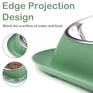 Ptlom Dog Cat Basic Food and Water Bowl Set, 2 Removable Stainless Steel Feeding Bowls with Non-Slip Leak-Proof Plastic Stand Suitable for Small and Medium Pet Puppy Feeder Tableware Supplies, Green