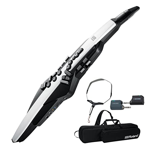 sCXVXeZbgtRoland/AEROPHONE AE-20 GAtH fW^Ǌy