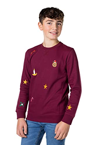 Opposuits Deluxe - Teen Boys Christmas Sweater - Holiday Outfit - Burgundy Red - Kids Christmas Clothing - Long Sleeve Sweater