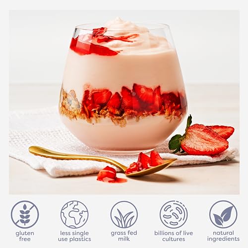Easiyo Greek Style Strawberry Flavored Yogurt Base (3-Pack, 21 Servings) With Live Cultures | Easy & Fresh Homemade Yogurt | Use With Easiyo Maker | New Zealand Milk From Grass Fed Cows #TOP1