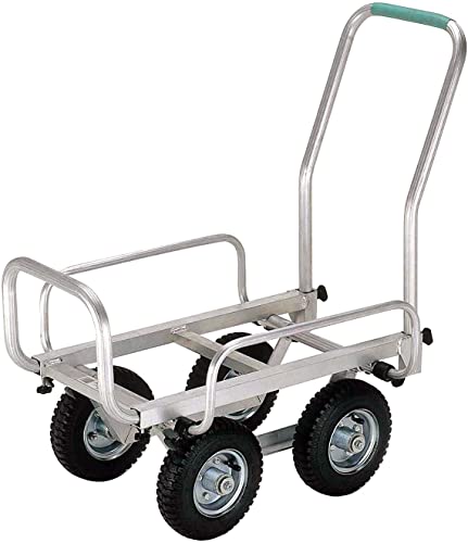 {G쏊 HONKO(zR[) A~nEXJ[Lk SHC-3DX