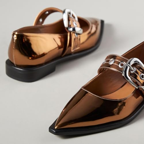 YDN Women's Buckled Strap Mary Jane Flats Fashion Pointed Toe Chunky Block Low Heels Formal Dress Business Party Shoes Size 4-16 US3