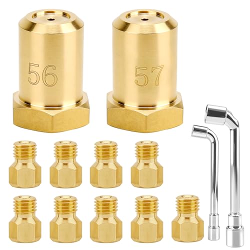 GRLP5 Natural Gas to Propane LPG Conversion Kit Compatible with Frigidaire Electrolux LP4/5 Series Gas Stoves Replaces 4980407 AP7213138 A22390101 316243720 316243721 316243723