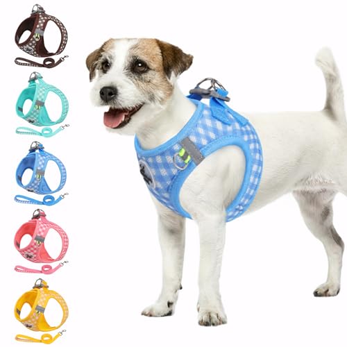 Savlot Reflektierendes Hundegeschirr für kleine & mittelgroße Hunde, Sicherheitsgeschirr mit Step-in Design für Nachtspaziergänge, Y-Form & Haarschonend (XS-L, Blau)