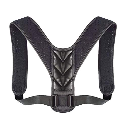 pxg ߉\ȍҒŔwŒjp (Color : T Grey, Size : L) charitable