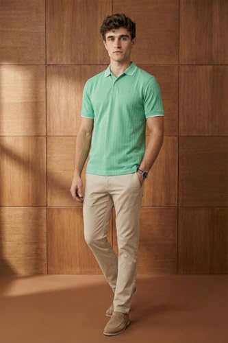 Image of Allen Solly Men's Polo T-Shirt | Premium Herringbone Texture | Solid | Regular Fit | Smart Casual Wear