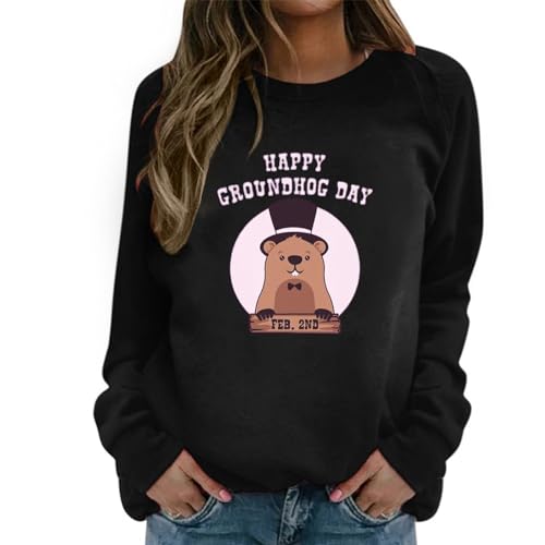 Pulls à capuche doux style vintage et sweats amples sans capuche 2024