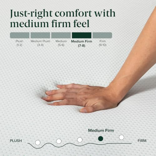 Image of Zinus| Global #1 Brand| Green Tea Memory Foam Premium Mattress| Pressure-Relieving Comfort & Orthopedic Support, Naturally Fresh, CertiPUR-US & Oeko-TEX Certified Queen (75 x 60 x 8 inch)