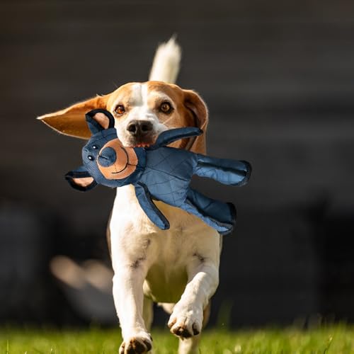 Healife Robust Bär hundespielzeug unzerstörbar für Aggressive kauer - Kauspielzeug Hund, Hundespielzeug große Hunde, Dog Toys - Unkaputtbar bär, Quietschendes bären hundespielzeug