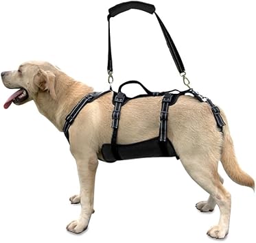 Coodeo Dog Lift Harness, Support & Recovery Sling, Pet Rehabilitation Lifts Vest Adjustable Breathable Straps for Old, Disabled, Joint Injuries, Arthritis, Paralysis Dogs Walk Black,XL
