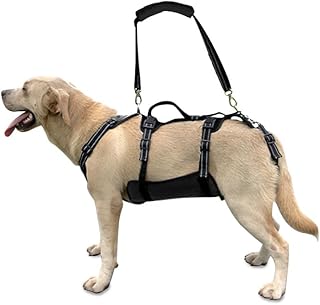 Coodeo Dog Lift Harness, Support & Recovery Sling, Pet Rehabilitation Lifts Vest Adjustable Breathable Straps for Old, Disabled, Joint Injuries, Arthritis, Paralysis Dogs Walk (Black,L)