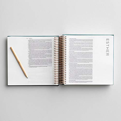 Dayspring J1076 Illustrating Bible Csb thumb #3