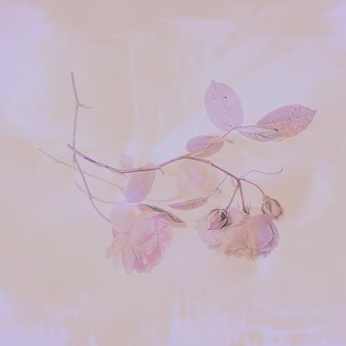 illi mel feat. Sonant