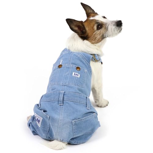 ybgp_CX   t I[o[I[ Lee ^ Cgfj yQl DS 炢_bNX (`5kg) ybgp_CXcX72XܓWJ2025/10/1_z