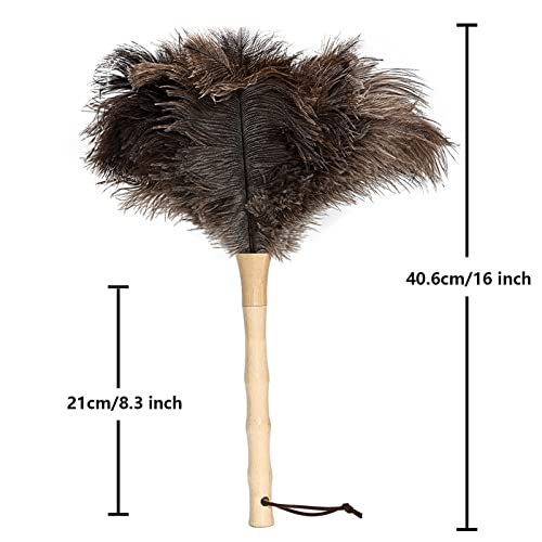 Image of Ostrich Feather Duster 16 inch Fluffy Natural Genuine Ostrich Feathers with Wooden Handle and Eco-Friendly Reusable Handheld Ostrich Feather Duster for Cleaning Supplies(5PCS)
