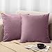 Netolo Doux Velours Housse de Coussin 40cm x 40cm, Taie d'oreiller Décorative avec Fermeture Invisible, Housses de Coussin à Jet Carré pour Canapé Chambre, 2 Paquet 16 x 16 Pouces Rose Mauve