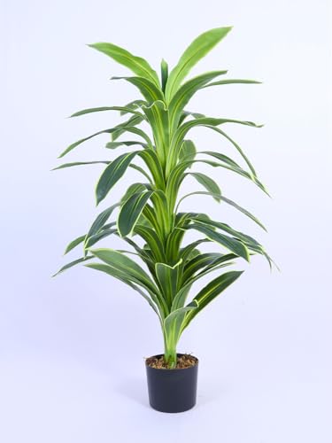 Image of ARICK DECOR 4Ft Artificial Variegated Dracaena Plant in Pot, 4ft Realistic Faux Song of India Tree, White Green Peacock Shaped Floor Plant for Home & Office