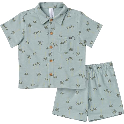 Modern Moments by Gerber Toddler Boys' Resort Shirt and Shorts Set, Blue, 3T