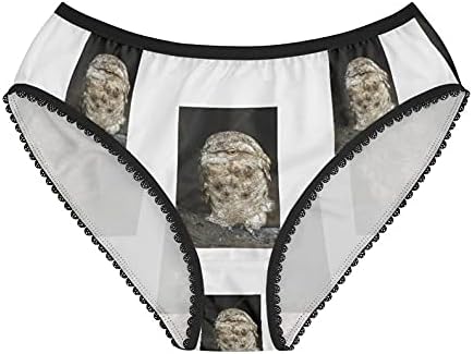 Papuan Frogmouth Panties, Papuan Frogmouth Underwear, Briefs, Cotton Briefs, Funny Underwear, Panties For Women