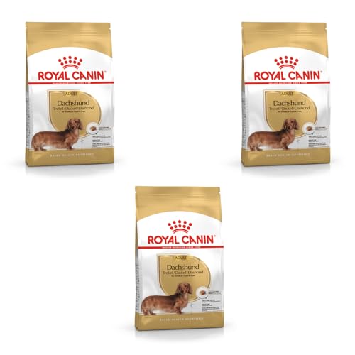 Royal Canin Dachshund Adult | Confezione da 3 | 3 x 500 g | Alimento completo per bassotti adulti a partire dal 10° mese