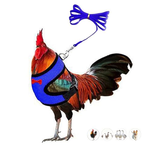 Chicken Leash and Harness Set Adjustment mesh Duck Harness VestBlue M
