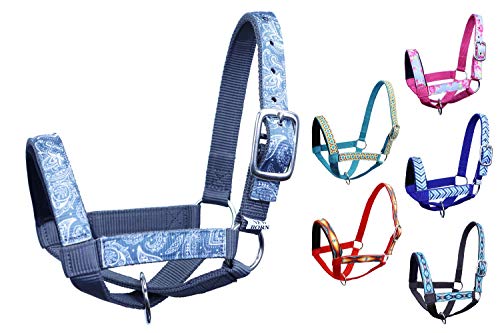 Paris Tack Derby Originals Patterned Double Layer Nylon Figure-8 Cow Halters and Sizes