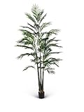 Giulia Grillo Palma Areca Deluxe Artificial Verde