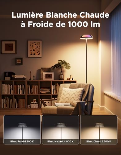 Lampadaire salon RGBIC d'éclairage ondulé blanc chaud et froid Govee - 4