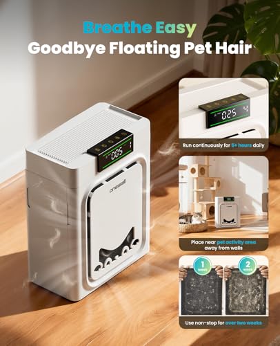 Image of oneisall Air Purifiers for Home | for Home
