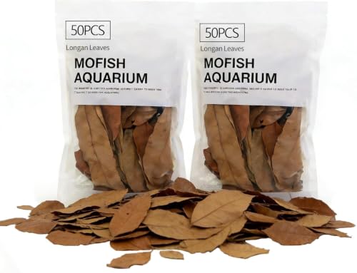100PCS Betta Leaf Indian Almond Leaves Longan Leaf Aquarium Decor for Fish Shrimp Goldfish Guppy Frogs Chelonian(100PCS Yellow Longan Leaves)
