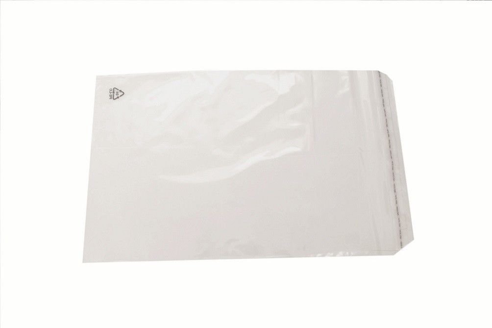 PGV Adhäsionsverschlussbeutel LDPE Flachbeutel Folienbeutel (300 x 400 + 50 x 0,05 mm - 1000 Stück)