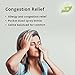 Nature's Rite Nasal Spray Decongestant, Congestion Relief, 1.5 oz. (45 mL), Portable, All Natural Sinus Nose Spray, Non-Addictive Sinus Relief for Allergy & Pollution Irritation
