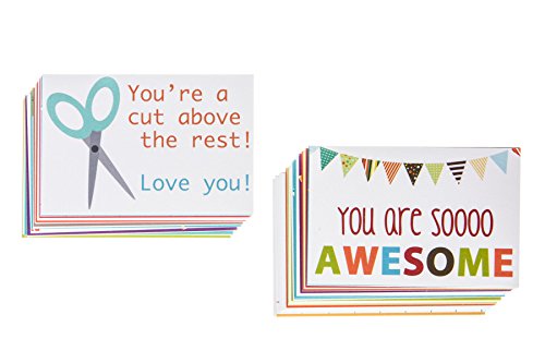 Designer Lunchbox Notes - 2 Packs of 27 Cards (2x3 Inch) - Multi