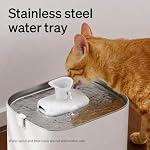PETLIBRO Upgrade Cat Water Fountain Stainless Steel Tray, Dockstream 2 Cat Fountain Indoor, 3L/101oz Auto Cat Fountains for Drinking, App Monitoring Pet Water Fountain Dog, 5G WiFi Cat Water Dispenser - Image 6