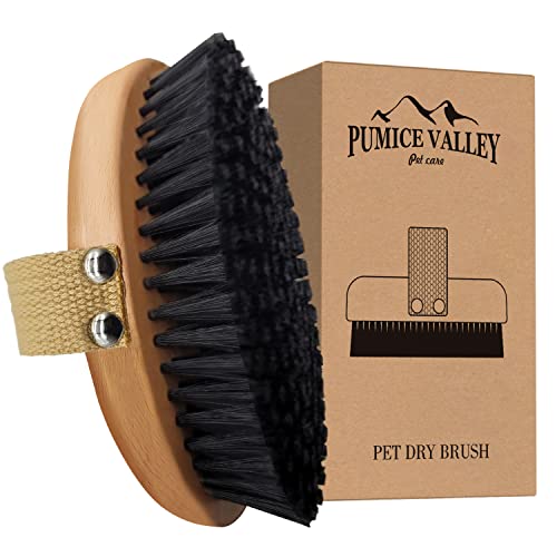 10 MustHave Dog Brushes for Short Hair A Complete Guide to Buying and