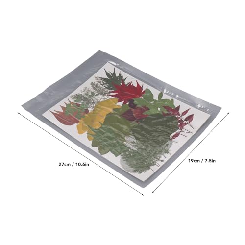 90 piezas de flores prensadas secas para manualidades miniatura 3