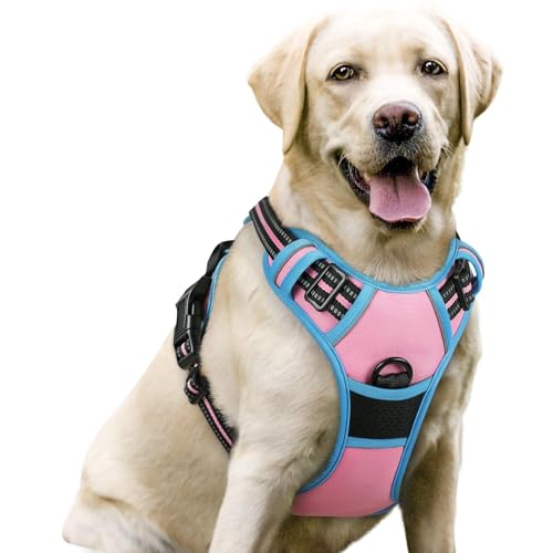 Image of rabbitgoo Dog Harness No Pull with 2 Leash Clips, Adjustable Soft Padded, Reflective Oxford No Choke Pet Vest with Easy Control Handle for Large Dogs, Pink & Blue, L