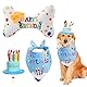Hunde Geburtstag, Hundegeburtstag, Dog Birthday Toys mit Blauer Geburtstagsmütze+Blauem Halstuch Hund, Weiches und Bequemes, Langlebiges und Süßes Kauspielzeug für Kleine und Mittelgroße Haustiere
