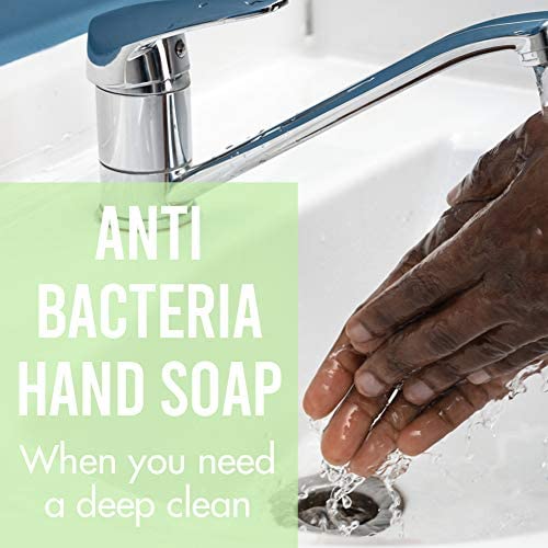 Greenerways Antibacterial Hand Soap | Made in USA | Mint Liquid Hand Soap with Pump and Soothing Aloe Vera | Sulfate-Free, Paraben-Free, Cruelty-Free, Vegan Hand Wash (16 Fl Oz (2 Pack) - Mint)