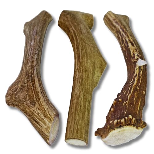 10 Best Antlers For Dogs Of 2023 Glory Cycles