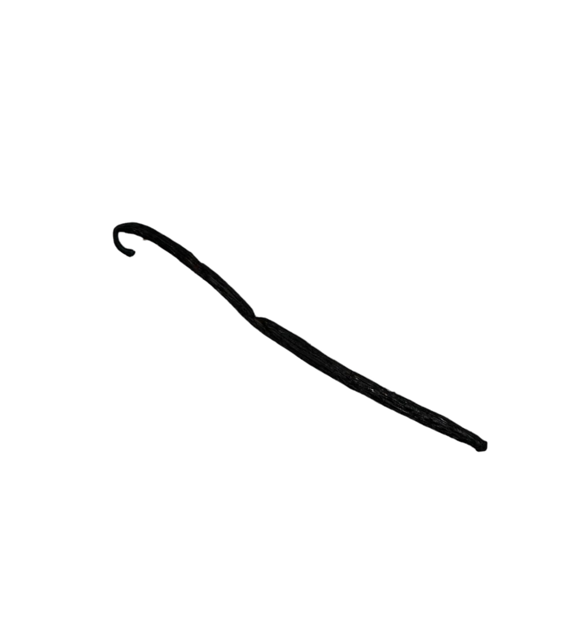 Vanille Bourbon de Madagascar en grains entiers 15 cm | 10g - 460g Catégorie A' (220 grammes ( 110 beans))