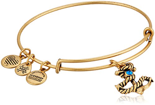 Alex and Ani Anchor III EWB, Rafaelian Gold Bangle Bracelet