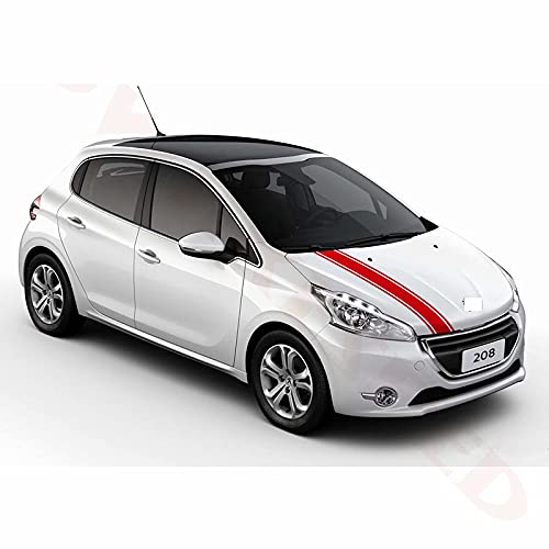 BENBENXIONG Car Styling Cappuccio Decor Adesivi