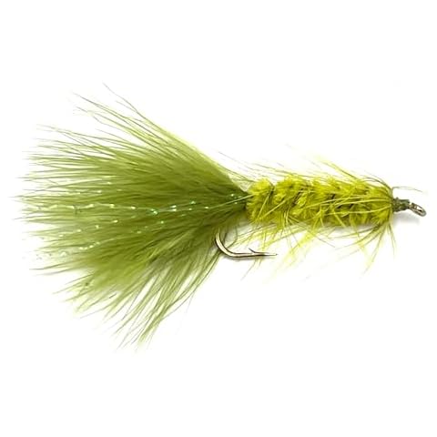 Wooly Bugger Fly Fishing Flies Cover
