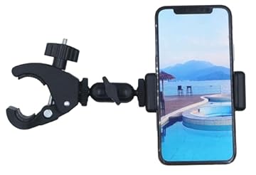 cell cycle wheel activity