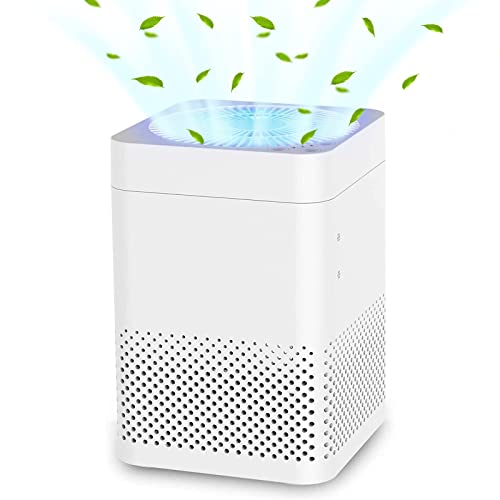 Air Purifiers for Home 3-in-1 True HEPA Large Room Air Filter, Air Choice smoke filter, Reduce Pets Dander, Household Odor, Smoke, Dust, Sleep Mode, Auto Mode, Quiet Operation, White