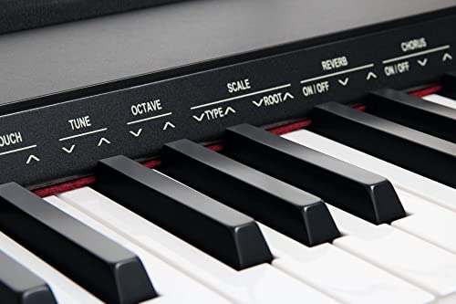Classic Cantabile SP-150 BK piano de scène noir SET y compris le trépied, le casque et la pédale - Les Beatles, Paul McCartney, John Lennon, RIngo Starr, George Harrison Classic Cantabile SP-150 BK piano de scène noir SET y compris le trépied, le casque et la pédale – Image 4